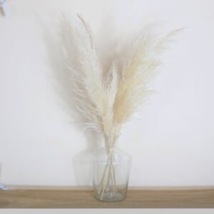 Vaso de vidro Capim dos pampas