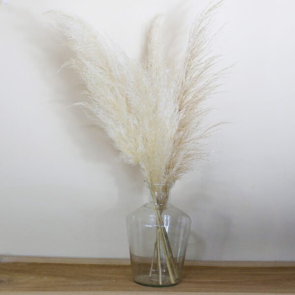 Vaso de vidro Capim dos pampas - Image 2
