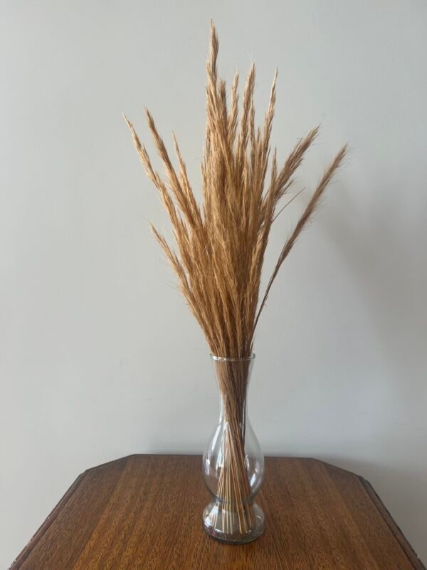 vaso de vidro capim dourado - Image 2