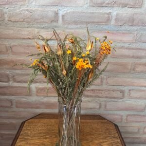 Arranjo Coleção Samambaia