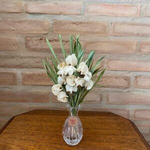 Arranjo Coleção Eudora