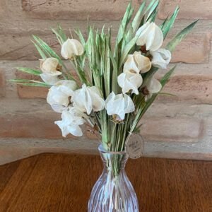 Arranjo Coleção Eudora