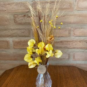 Arranjo Coleção Eudora